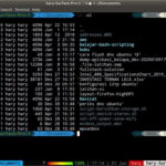 Cara Menggunakan perintah dasar linux CLI