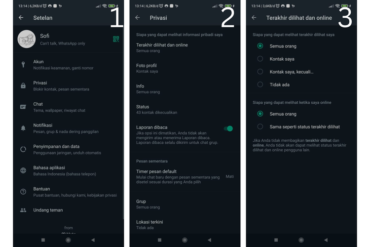 Cara Menghilangkan Status Online Di WA
